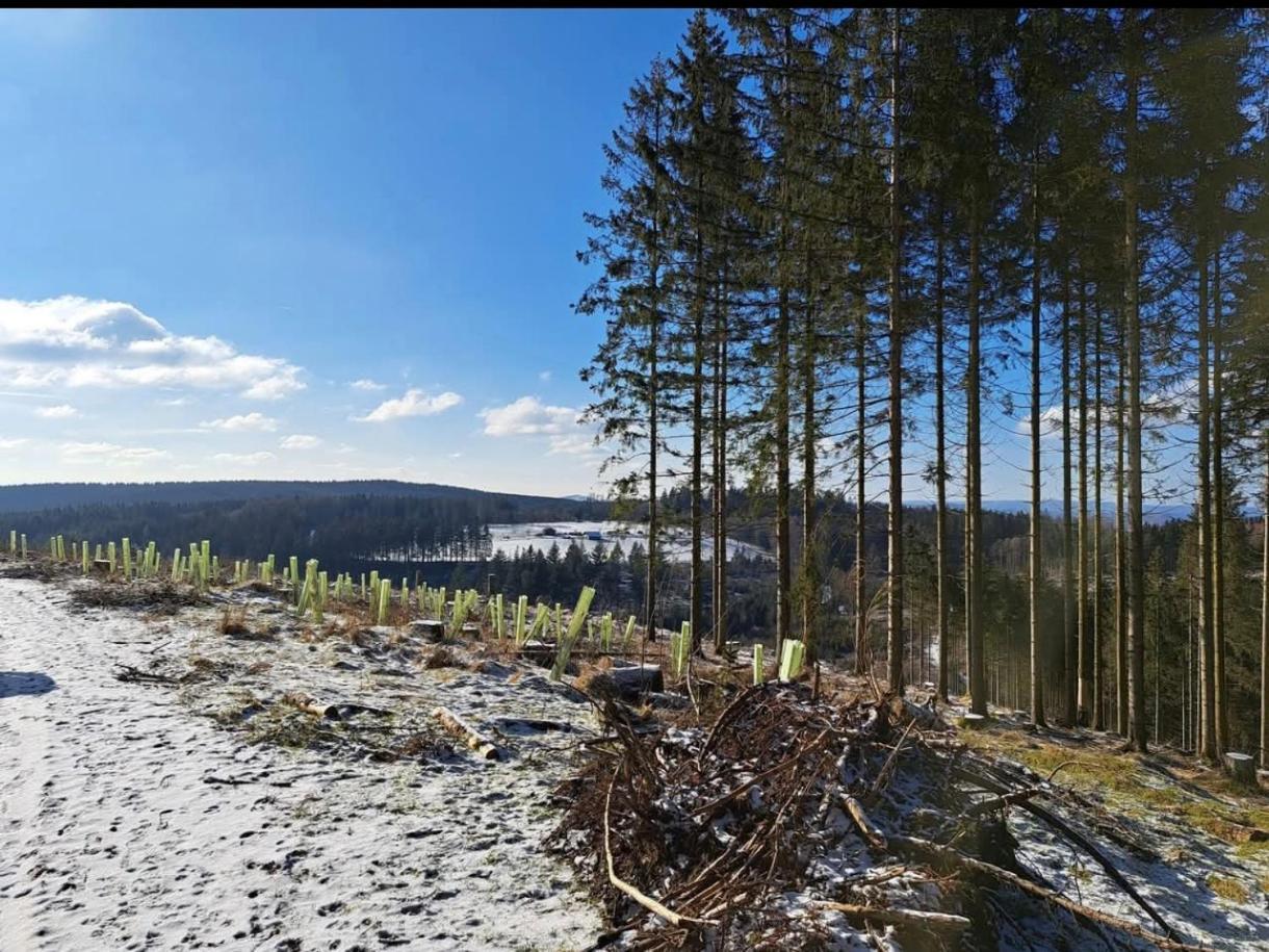 Apart Bellagast Hilchenbach Экстерьер фото